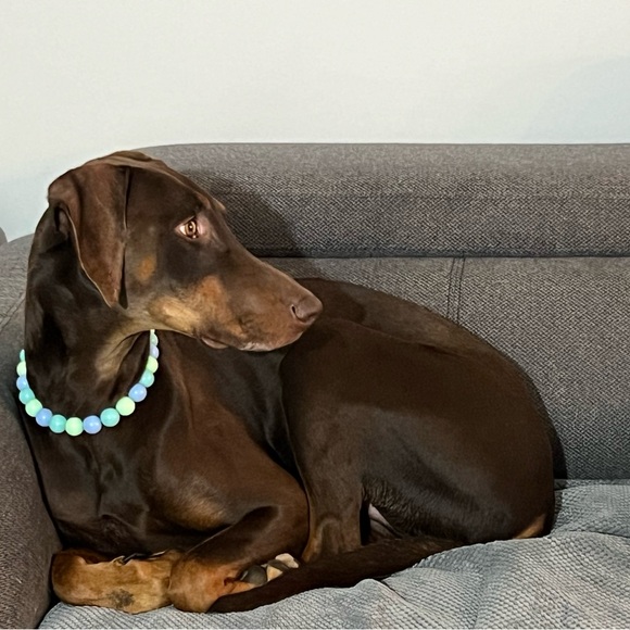 Handcrafted Beaded Dog Collar - Luna - Teal and Green Collar - Picture 9 of 16